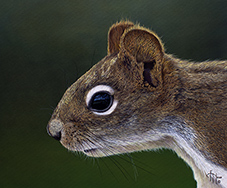 Wildlife artist-Le Joueur des Forets