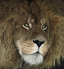 Wildlife artist-The King