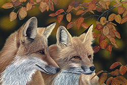 Wildlife artist-Les Comperes